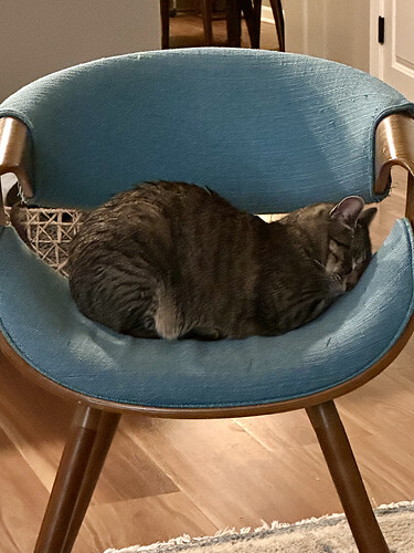 8151005D-3683-47E9-AD26-76552A84C944_1_201_a