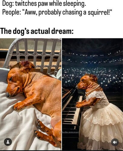 Screenshot_20260308-213335