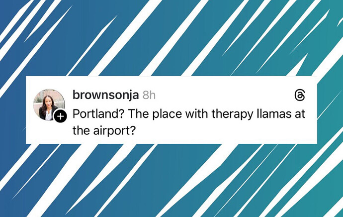 IMG_2552