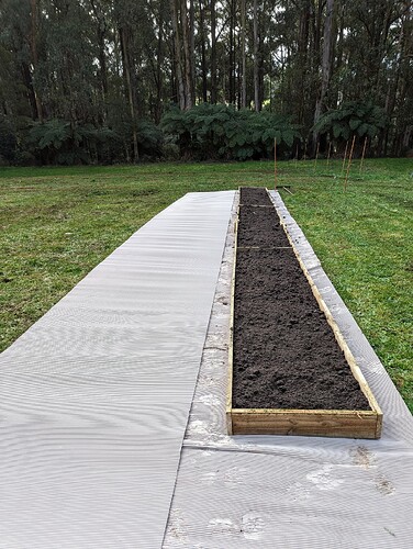 PXL_20230801_035140033