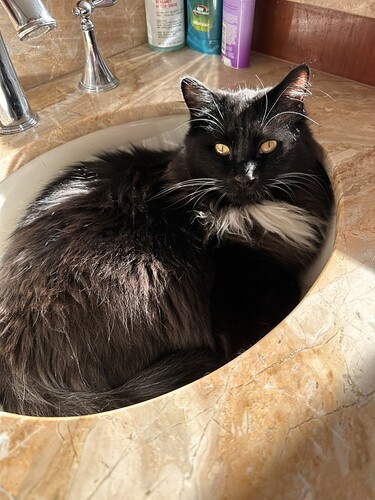 CB2AF990-79DC-4188-86E9-E49E6FF6AC89_1_105_c