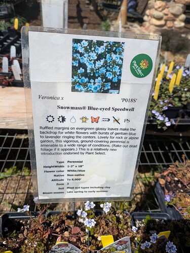 PXL_20250426_204557956