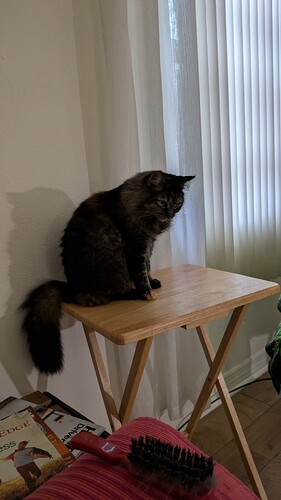 PXL_20251207_150950743