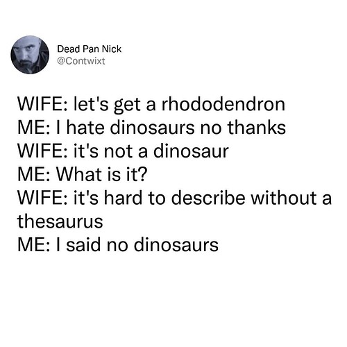1000029377