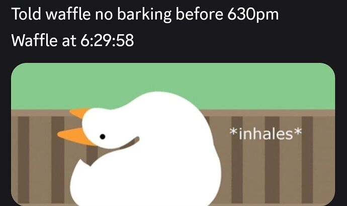 Screenshot_20260806_183835_Discord