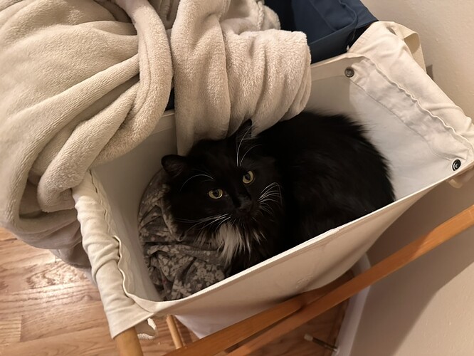 9F587E81-3A06-44B7-9E1D-C130B0232C41_1_105_c