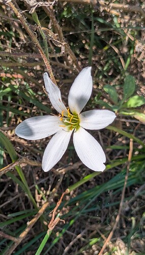 PXL_20251014_153542832