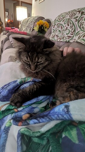 PXL_20251207_152449523