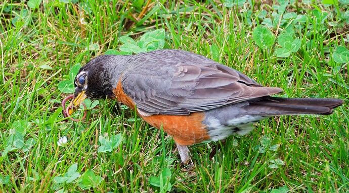 DSCF2062_DxO