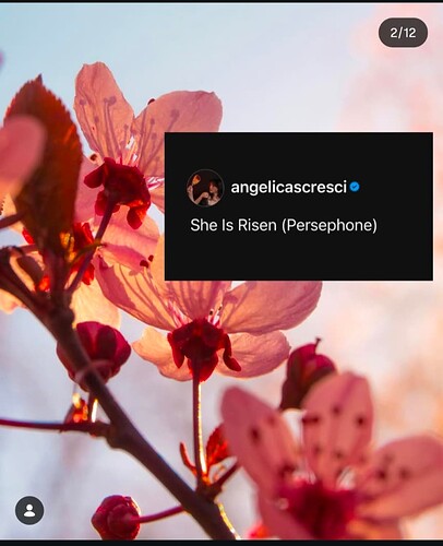 Screenshot_20260330-190435