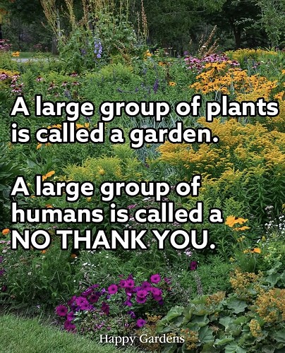 2613