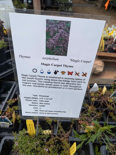 PXL_20240623_204954471