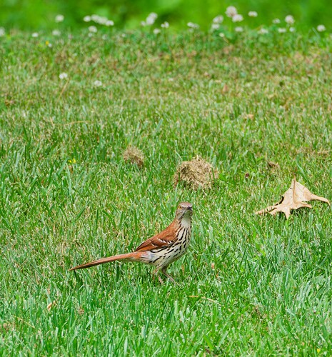 DSCF2043_DxO