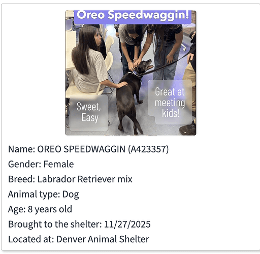 Screenshot 2025-12-03 at 2.23.25 PM