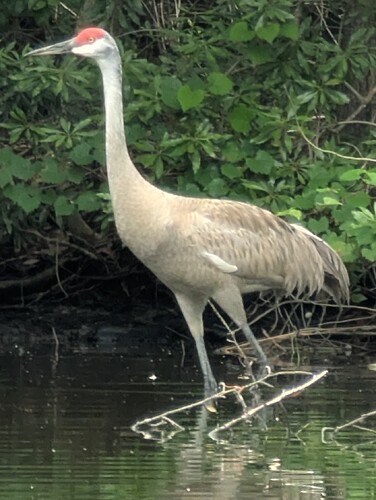 ecbfdfbf-3769-488a-a3e3-0fed5c69560c-1_all_31178