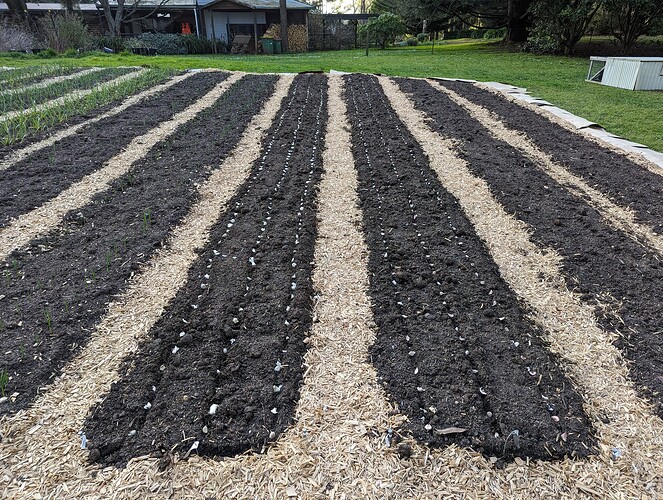 PXL_20230825_063905303