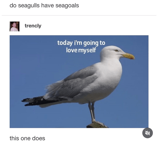 Screenshot_20251114-162621