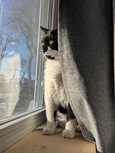 PXL_20251203_195516982.PORTRAIT.ORIGINAL