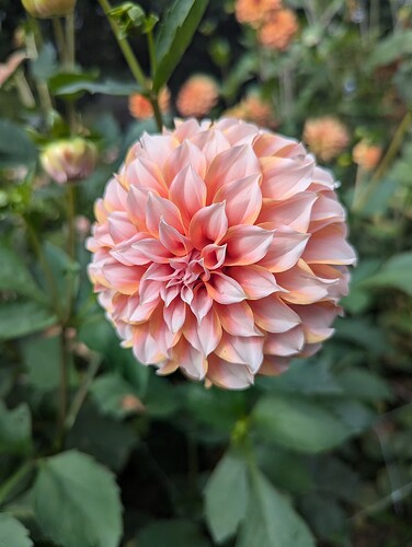 PXL_20250918_193844003