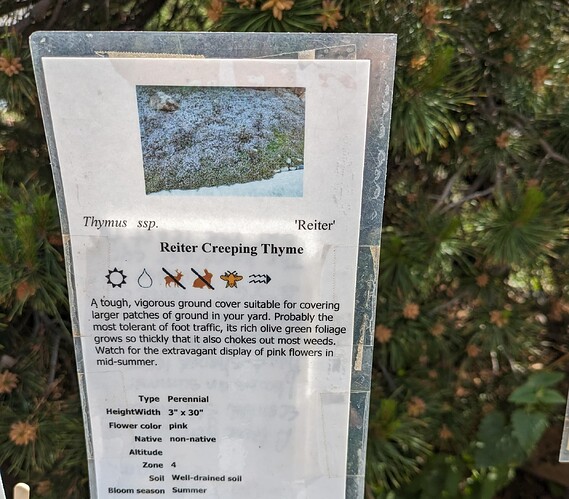 PXL_20240519_210209095