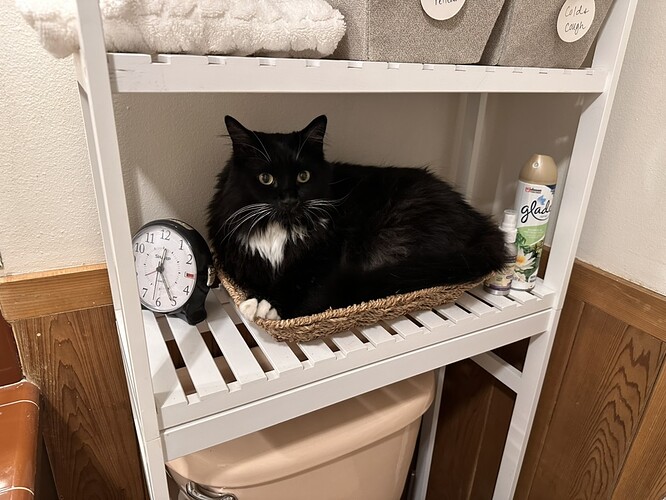 089D8B19-1D15-4059-A70E-DE5F3F87CD9A_1_105_c