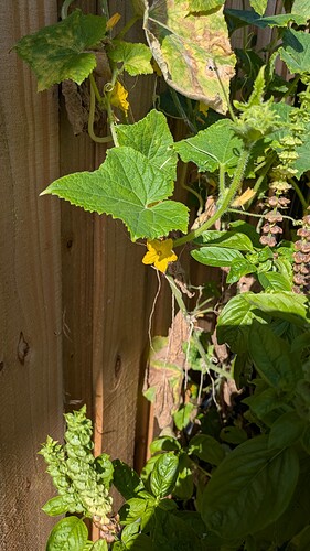 PXL_20260719_130627757