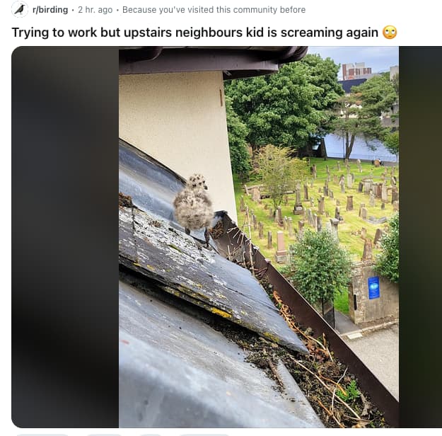 Screen Shot 2025-06-13 at 11.29.43 AM