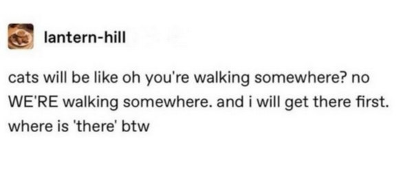 Screenshot from 2025-12-25 12-49-30