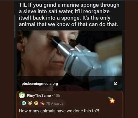 Screenshot from 2025-11-16 11-47-16