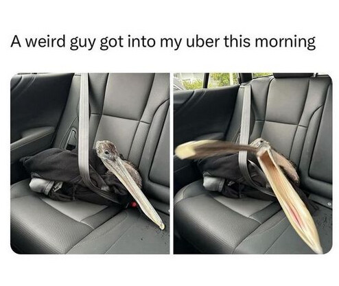 Screenshot from 2024-05-19 15-27-10