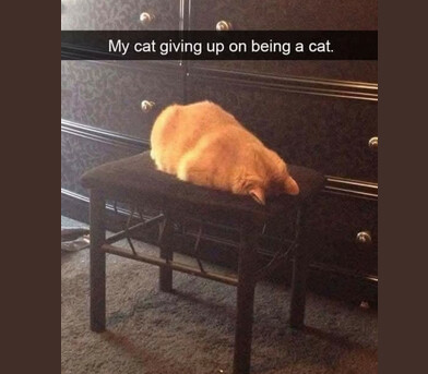 Screenshot from 2025-11-09 21-08-33